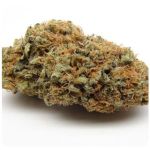 Шишки AK47 (Гидропоника, Бошка) VHQ в Нижнекамске Шишки AK47 (Гидропоника, Бошка) VHQ в Нижнекамске